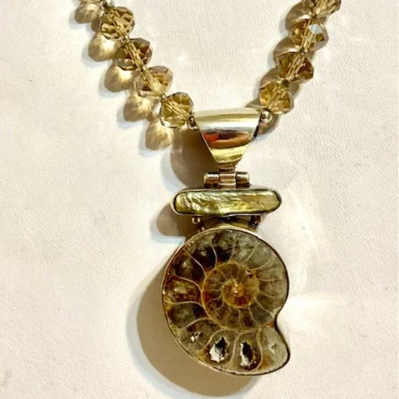 💖Nautilus Seashell Necklace Set. Set In Sterling Silver, 16 Inches Long /NS161
